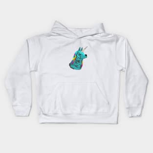 Rainbow Llama Unicorn Kids Hoodie